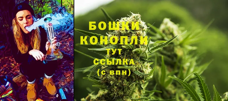 Бошки марихуана THC 21%  цены   kraken зеркало  Каменка 